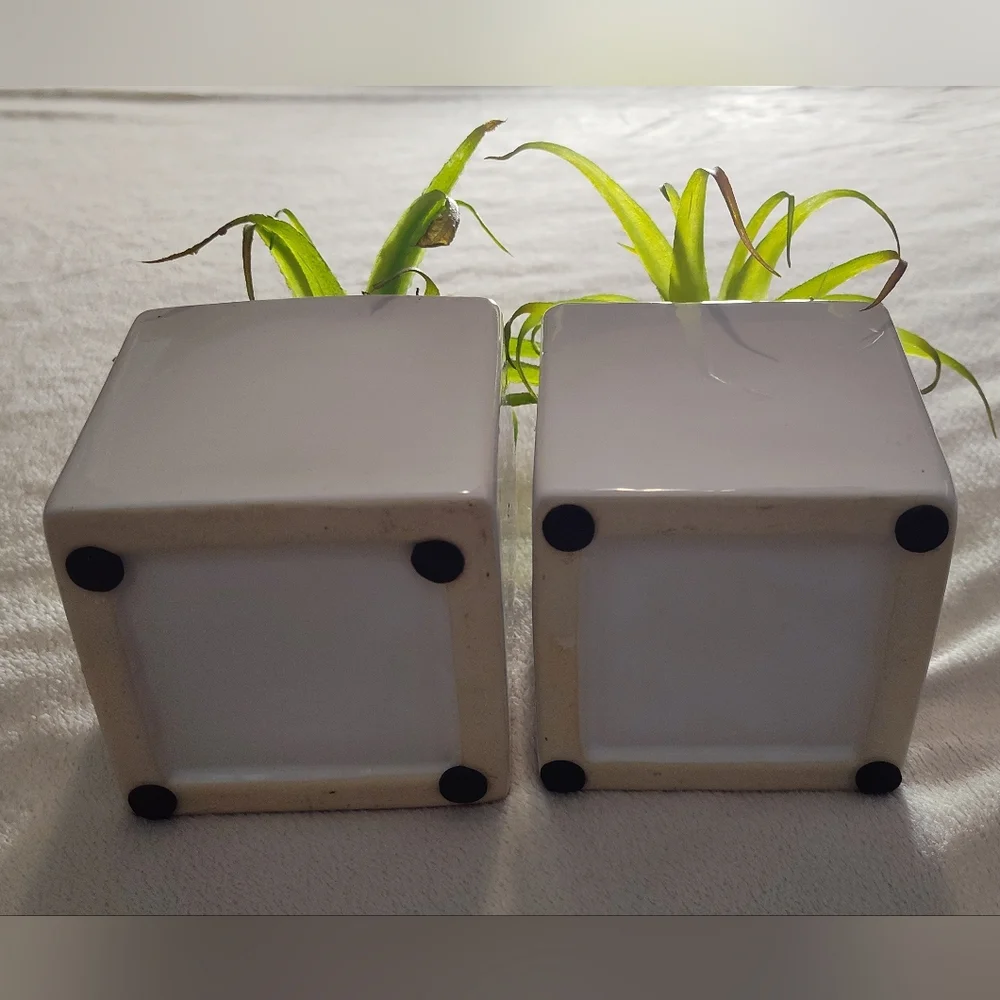 2 Green Faux Succulent in White Planter Set